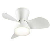 SUNMORY 22 Ceiling Fan, Low Profile for Bedroom & Kitchen, 6 Wind Speeds, White