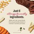 thumbnail image 6 of The Honest Kitchen Wholemade Beef, Chicken Wet Dry Dog Food, 10 lbs Box, 6 of 9