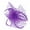 Purple, variant on Clearance! Fdelink Flower Tea Party Headwear Feather Fascinators Top Hat for Women Party Headband (Yellow)