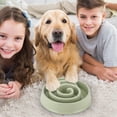 thumbnail image 3 of Slow Food Bowls for Dogs and Cats - Interactive Pet Feeding Dish for Indoor Use Gulping Design Encourages Eating Habits, 3 of 3