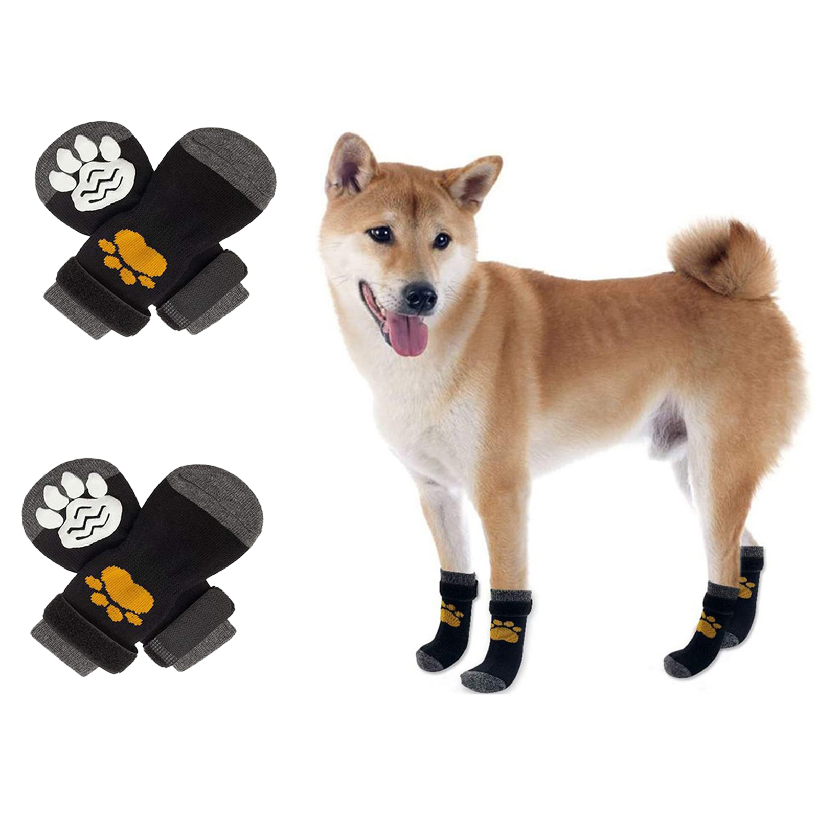 Why Cant Dogs Walk In Socks