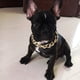 thumbnail image 3 of Collar de cadena de oro de metal, collar de cadena para mascotas, joyas y accesorios ajustables para mascotas MFZFUKR CPB-US-YY778-3, 3 of 5