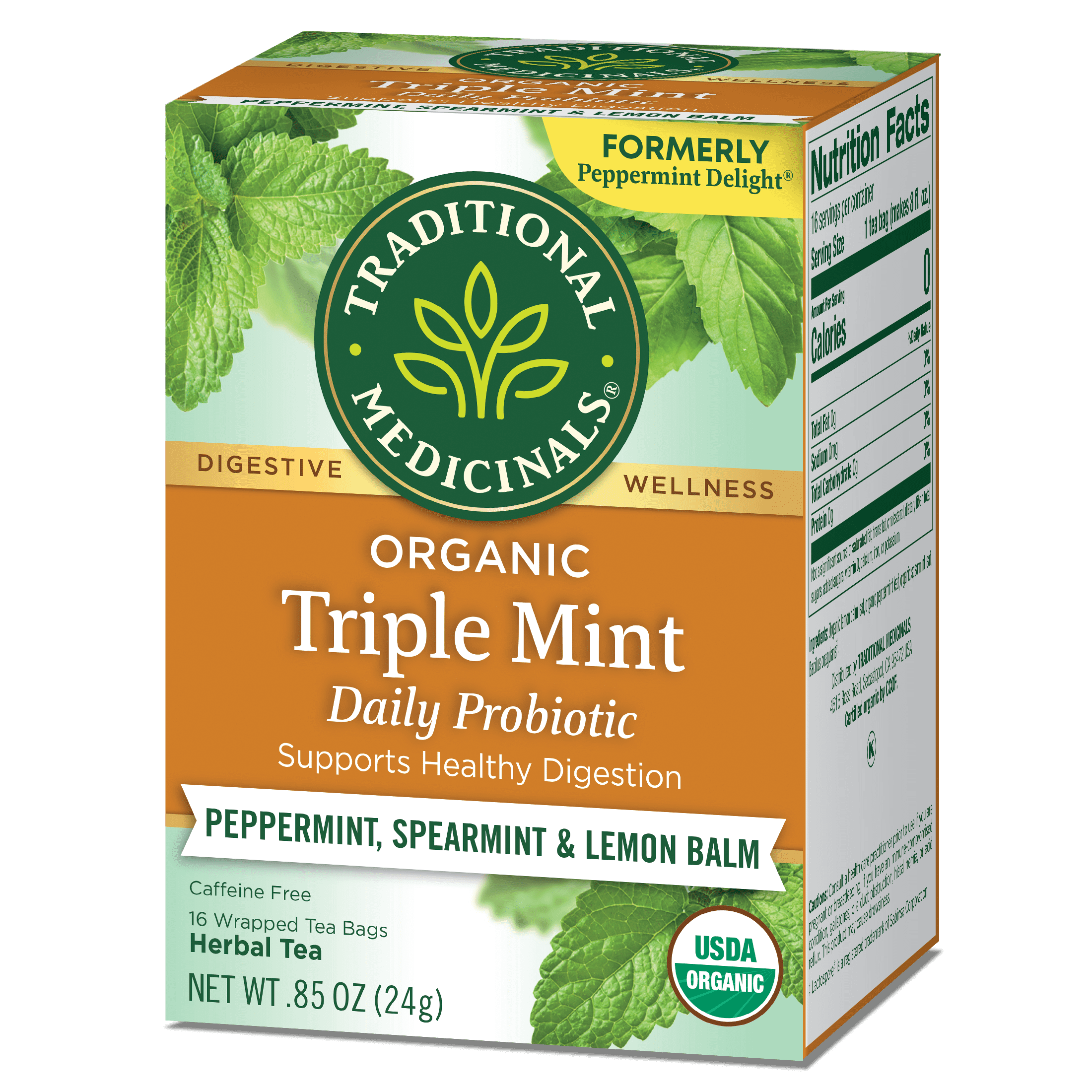 ◆mint tea◆ freisteller_rich_mint_20_281_2