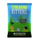 thumbnail image 1 of Juego de cartas Exploding Kittens Edición original NSFW Party Streaking Kittens Imploding Kittens Expansion Barking Kittens Bears vs B, 1 of 4