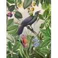 thumbnail image 2 of Haase, Andrea 20x24 Black Ornate Wood Framed with Double Matting Museum Art Print Titled - The Birds Green Garden, 2 of 4