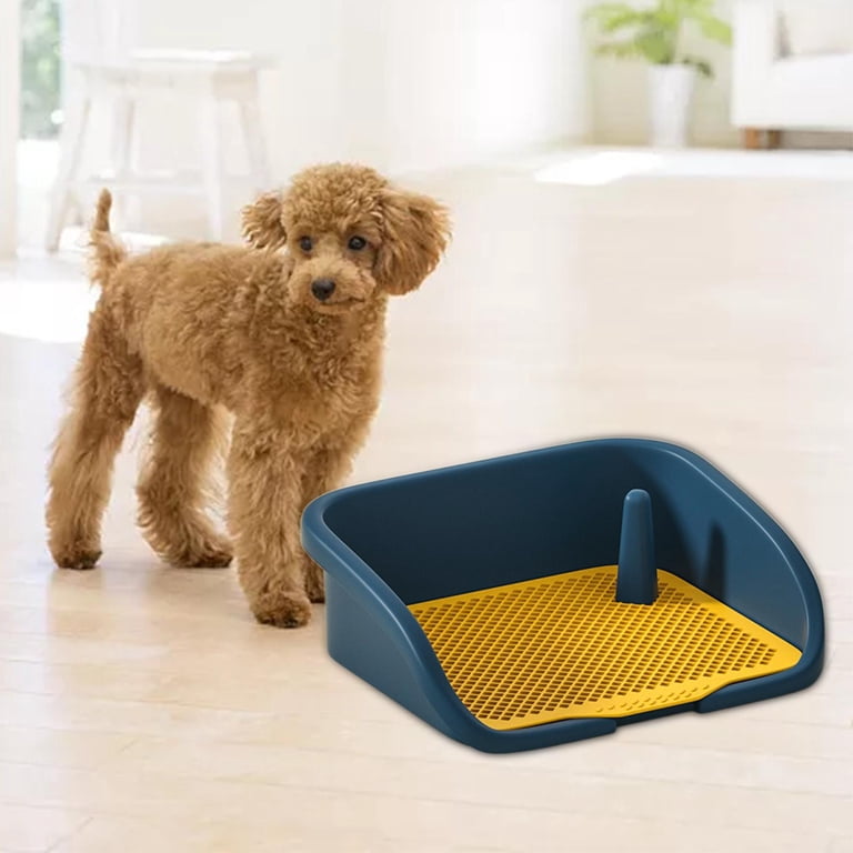 Welpentoilette Puppy Training Set,für Trainingsmatte für