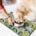 thumbnail image 2 of Pet Feeding Mat 16x24 Inch with Modern Lemon Design, Durable Waterproof Dog Food Mat, Absorbent, Non-Slip, Quick Dry, Washable Mat for Dogs and Cats, 2 of 7