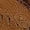 Softsole Brown, variant on Minnetonka Women's Classic Fringe Boot,Soft Leather Sole Brown,5 M US