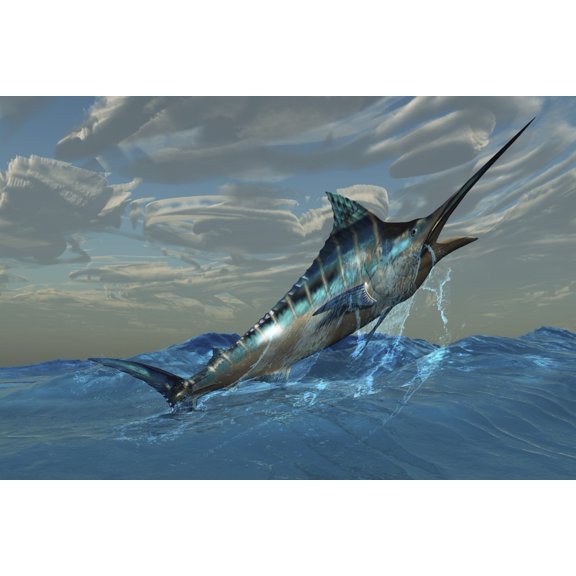An iridescent Blue Marlin bursts from ocean waters Canvas Art - Corey FordStocktrek Images (18 x 12)