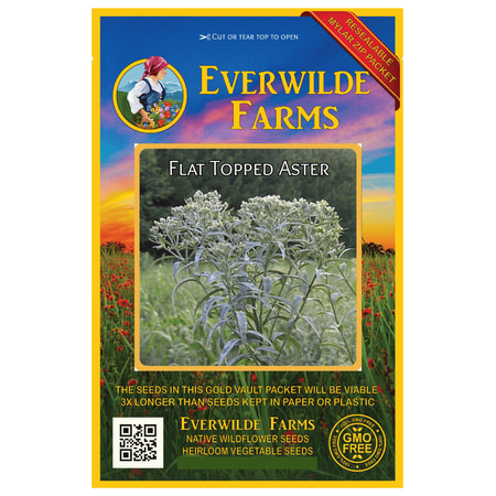 Everwilde Farms - 1250 Flat Topped Aster Native Wildflower Seeds - Gold Vault Jumbo Bulk Seed Packet