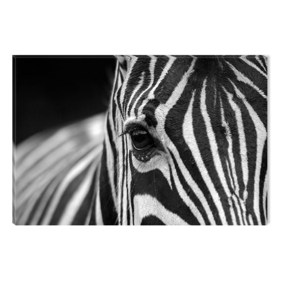 Startonight Canvas Wall Art Black and White Abstract Beatiful Zebra, Dual View Surprise Artwork Modern Framed Ready to Hang Wall Art 100% Original Art Painting 23.62 X 35.43 inch