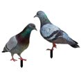 thumbnail image 2 of 2pcs Ground Insert Lifelike Pigeons Sculpture Acrylic Animal Stakes-o, 2 of 2