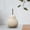 Beige 6.5cmx11cm, variant on Nordic Ceramic Pear Figurine Ornament Decorative Fruit Sculpture Statue Creative Collectible for Home Cabinet Party Table Decor (Beige 6.5cmx11cm)