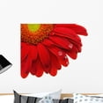 thumbnail image 1 of Gerbera Daisy Wall Mural by Wallmonkeys Peel and Stick Graphic (24 in W x 20 in H) WM114376, 1 of 4
