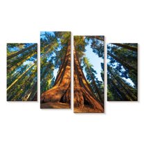 Elephant Stock Lofty Sequoia Tree Wall Art - Horizontal Multi Panel Canvas - Living Room Wall Decor - Floral And Botanical Multi Panel - Brown And Orange Decor - 24" x 14"
