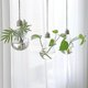thumbnail image 1 of 3pcs Clear Glass Bulb Hanging Plant Flower Vase Hydroponic Container Bottle, 1 of 5
