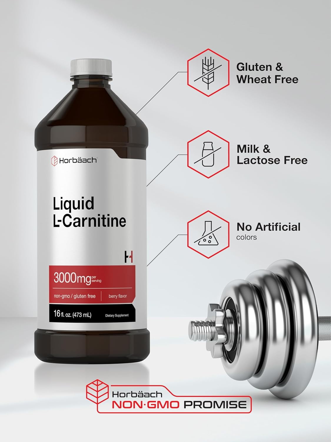 l carnitine acetylcholine The Difference Between L-Carnitine & Acetyl L-Carnitine – Swanson Vitamins