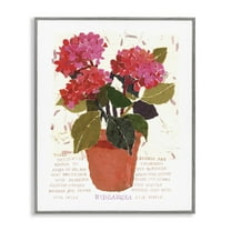 Stupell Industries Bold Red Hydrangea Botanical & Floral Painting Gray Framed Art Print Wall Art, 11 x 14