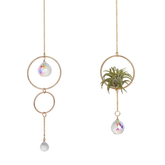 2Pcs 2 Styles Gold Air Plant Hanger with Glass Ball Pendant Metal Round Hanging Planter Plant Hanger Display Frame Plants Display RacksDIY