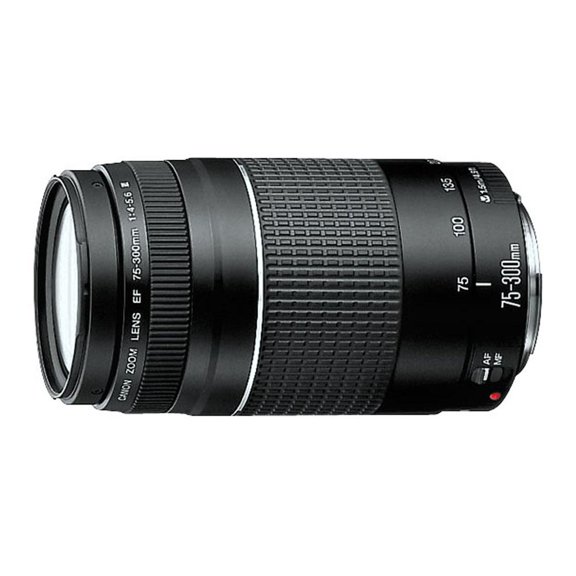 Lente Canon  EF 75-300 mm f/4.0 - 5.6 III