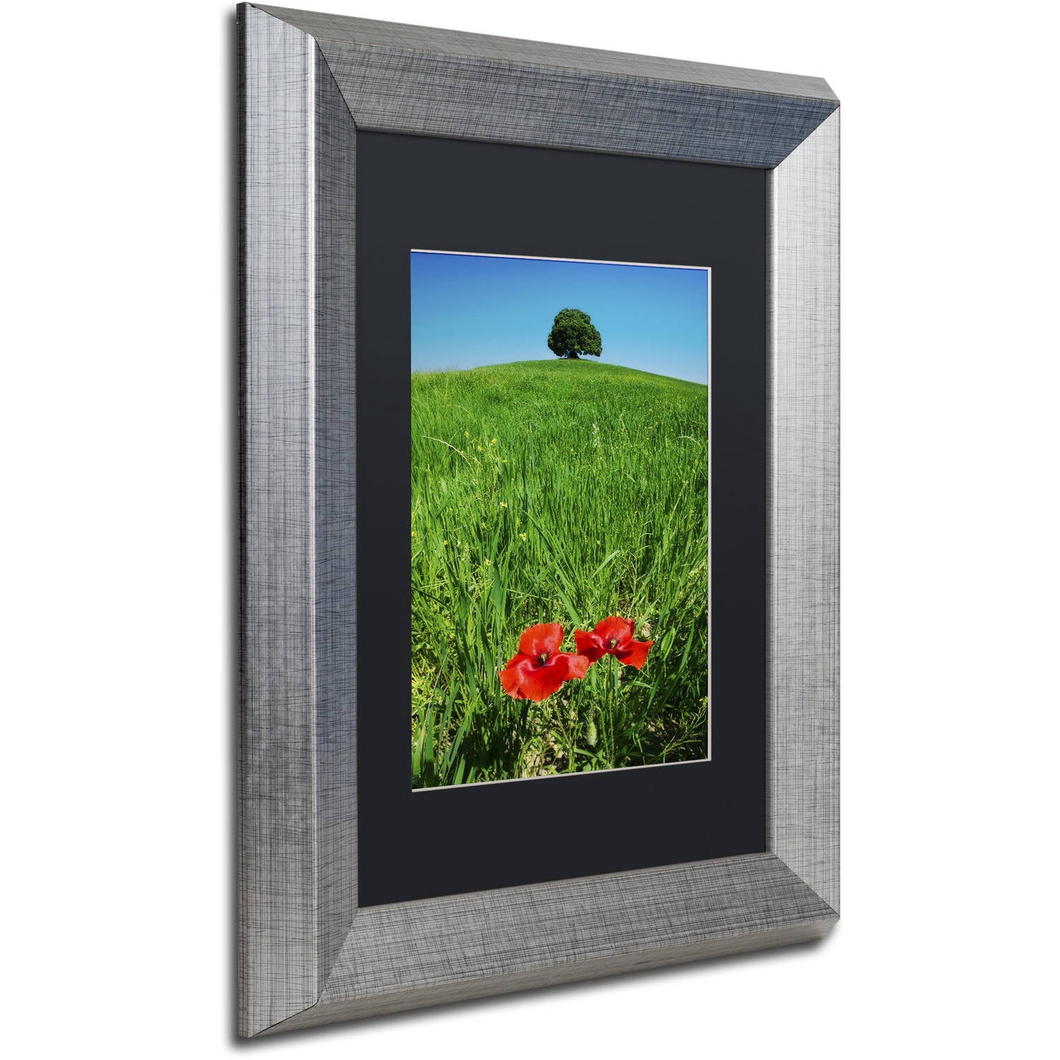 Trademark Fine Art 'Red Poppies and Oak' Canvas Art by Michael Blanchette Photography, Black Matte, Silver Frame