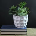 thumbnail image 2 of Northlight 9.5" Mixed Succulent Artificial Potted Plant - Green/White, 2 of 2