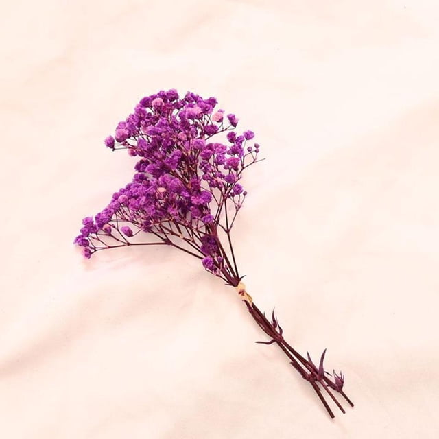 LUVCLS Flores secas de algodón natural Babysbreath Mini Babysbreath frescas K1