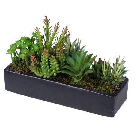 12 Assorted Succulent Plants Arrangement With Moss In Decorative