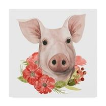 Trademark Fine Art 'Poppy Farm IV' Canvas Art by Grace Popp