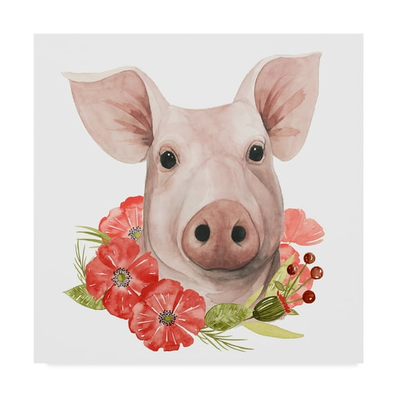 Trademark Fine Art 'Poppy Farm IV' Canvas Art by Grace Popp