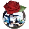 thumbnail image 1 of Jarrón Espejo Cóncavo de Vidrio Plateado Skywin de 11.5 cm para Decoración de Oficina, 1 of 7