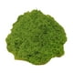 thumbnail image 2 of Musgo artificial de 50 g, plantas verdes artificiales, jardineras para patio, musgo decorativo, verde falso Verde claro, 2 of 7