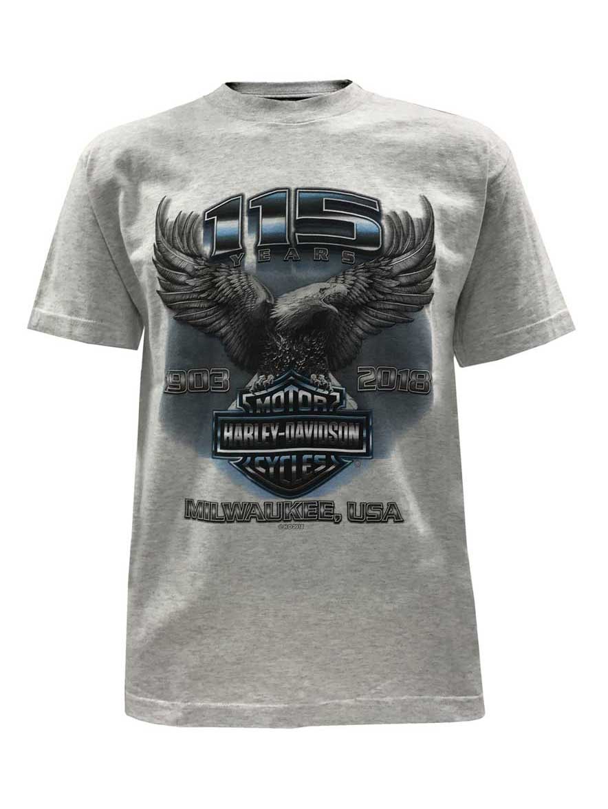 T-Shirt, Gray (XL), Harley Davidson 