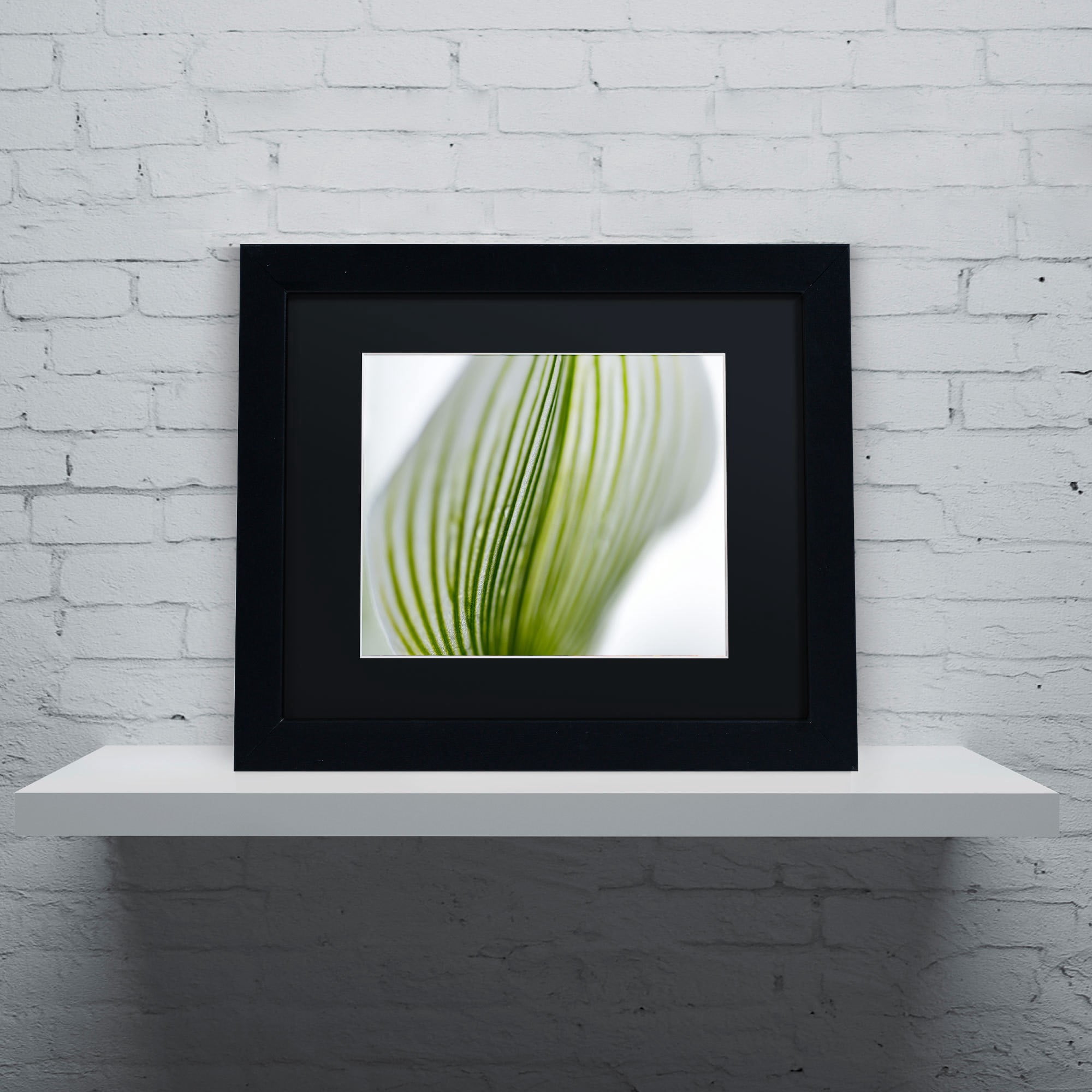 Trademark Fine Art "Orchid Abstract Blurred Lines" Canvas Art by Kurt Shaffer, Black Matte, Black Frame