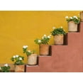 thumbnail image 2 of Paulson, Don 24x19 Black Ornate Wood Framed with Double Matting Museum Art Print Titled - Mexico Potted flowers on staircase, 2 of 4