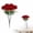 C, variant on Single Stem Realistic Artificial Dandelion Faux Bloom For Photo Frame Embellishment, Living Room Vase Arrangement And Floating Shelf Small Accent Decor
