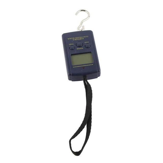 nce électronique multifonctionnelle de précision 40 kg 10 g, portable, avec crochet