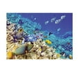 thumbnail image 3 of Autocollant de Fond d'Aquarium Poissons Tropicaux & Corail TG, 3 of 8