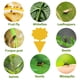 thumbnail image 2 of 20 Piezas Trampas Pegajosas Doble Cara para Planta () Amarillo, 2 of 4
