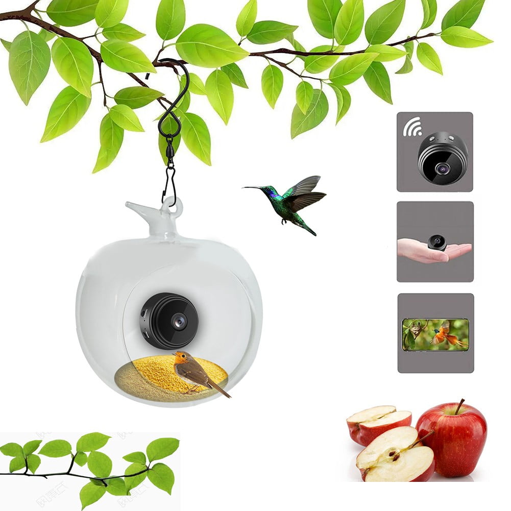 yaaqii 1x indoor home Outdoor Garden For Smart Bird Feeder with Video Camera for windowsill