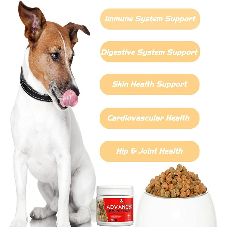Dog multivitamin walmart top