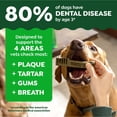 thumbnail image 2 of Veterinarian-Recommended Natural Dental Dog Treats, Regular Size Sweet Potato Flavor 36 oz Pack 36 Count for Daily Oral Care, 2 of 8