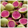 thumbnail image 3 of Everwilde Farms - 300 Watermelon Radish Seeds - Gold Vault Jumbo Bulk Seed Packet, 3 of 5