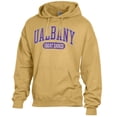 thumbnail image 2 of Men's Comfort Wash  Gold UAlbany Great Danes Lightweight Fleece Pullover Hoodie, 2 of 3