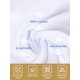 thumbnail image 2 of BIG ELEPHANT Pantalones de Entrenamiento para Bebés Niños, Ropa Interior de Entrenamiento Suave de Algodón para Niños Pequeños, Paquete de 10, Talla 2T, 2 of 8