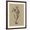 Brown Frame, variant on Art.com Botanical Sketch Black and White I Art Print by Ethan Harper, 12" x 16"