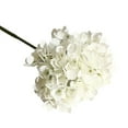 thumbnail image 1 of Hydrangea Macarons Artificial Flower Plant Bonsai Wedding Decorations INS Wind, 1 of 1