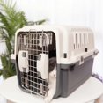 thumbnail image 3 of Accessories Plastics Dog Carriers Small Puppy Outdoor Walking Travel Dog Carriers Transport Kennel Sac Chien Pet Supplies SR50DC ShopWise Round, 3 of 15