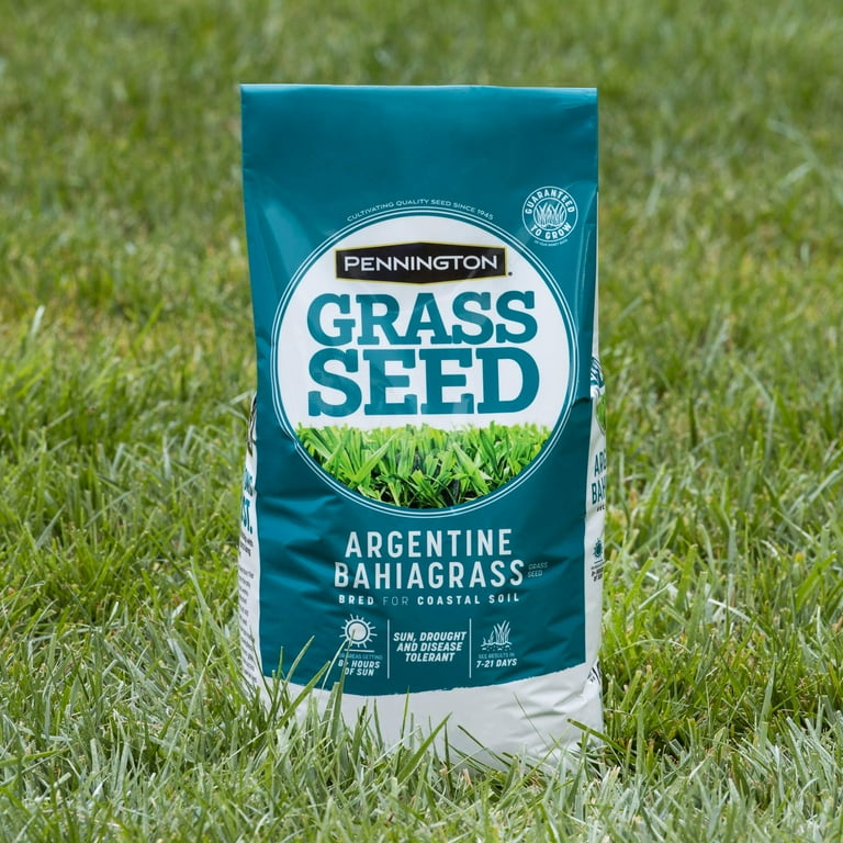 Grass seed walmart deals