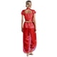 thumbnail image 4 of Mono de Bollywood con lentejuelas para mujer, trajes de Cosplay de princesa árabe de Halloween, peleles, disfraz de danza del vientre adornado con gemas, 4 of 5